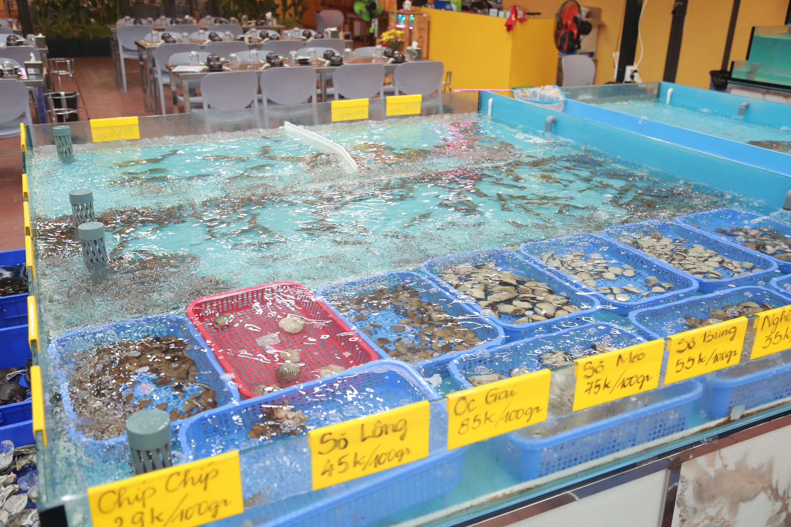 Seafood restaurants in Da Nang