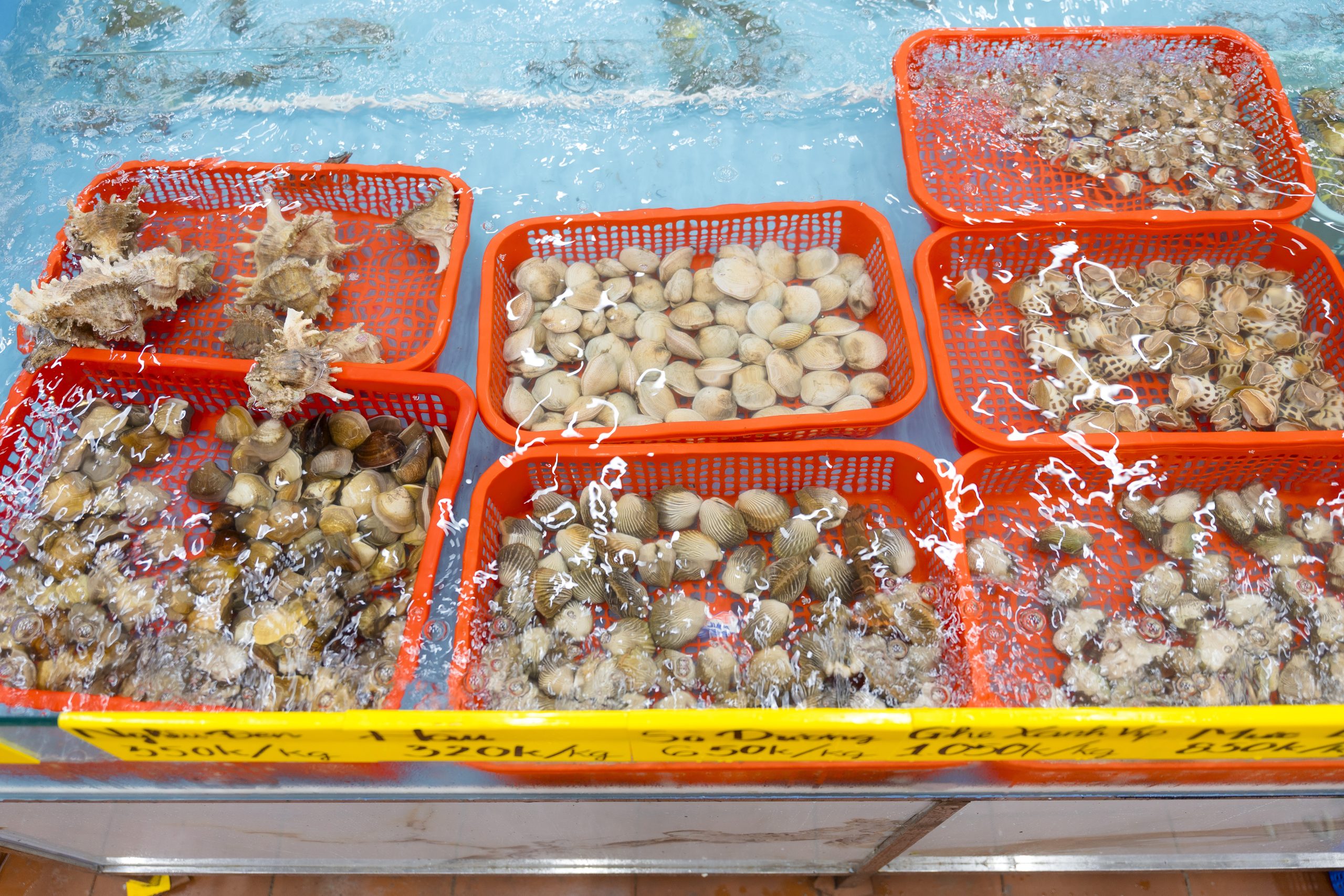 Seafood restaurants in Da Nang