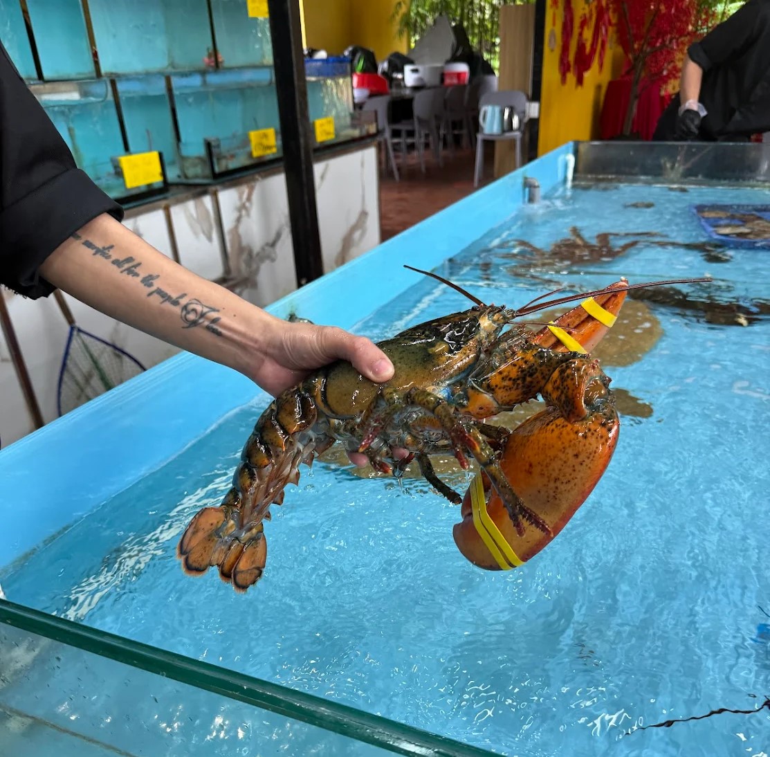 Selecting fresh seafood directly from the tank – a true seafood experience in Da Nang