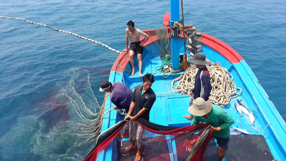 Catching premium seafood at sea