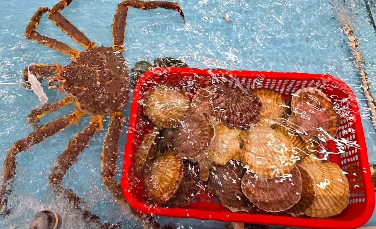 Premium seafood fresh and live right in the tank