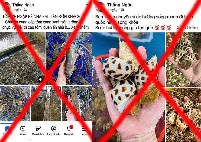 go out for seafood and beware of cheap seafood advertising scams