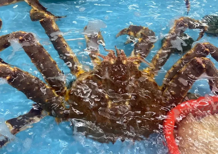 King crab - Clean seafood in Da Nang