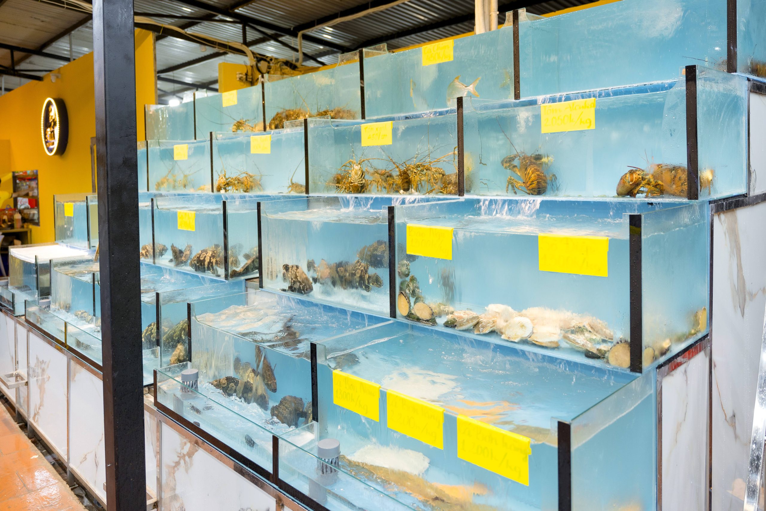 fresh seafood in Da Nang
