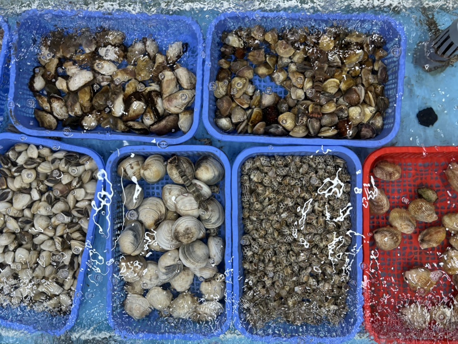 fresh seafood in Da Nang
