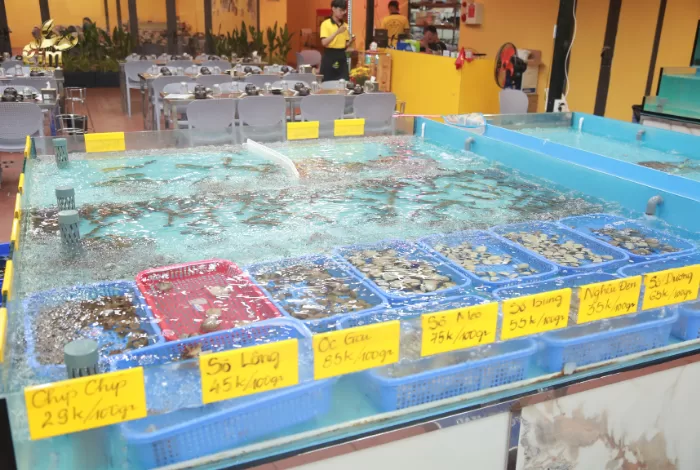Môi trường ăn uống sạch sẽ