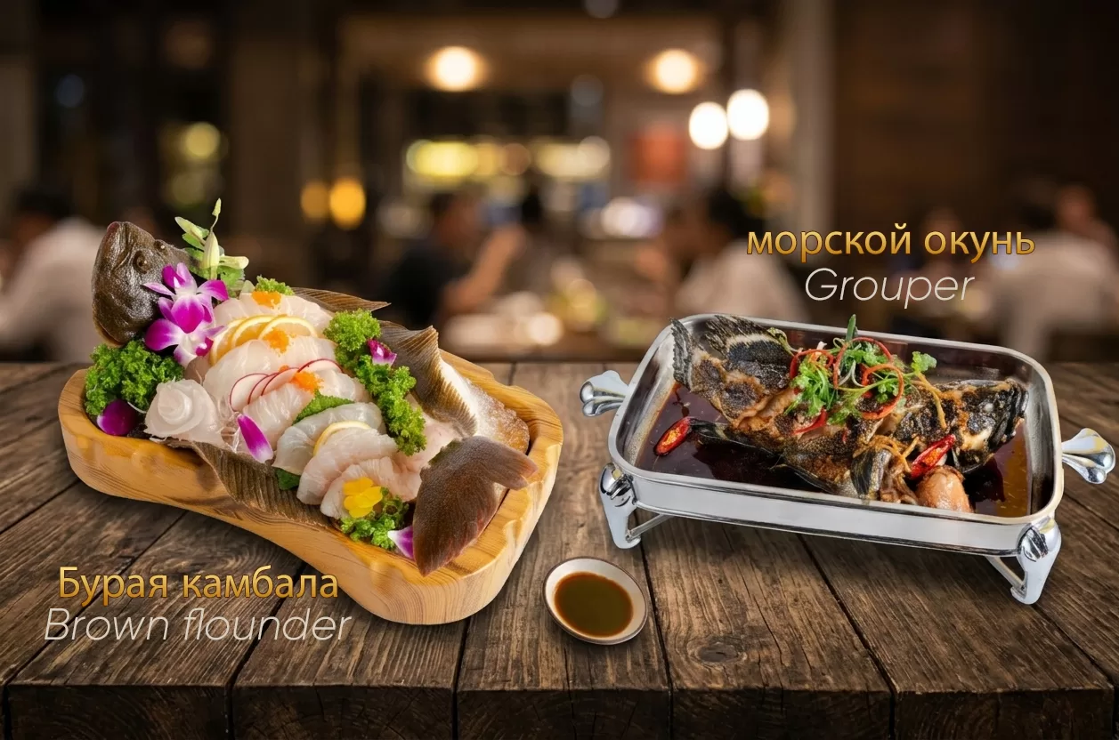 Бурая камбала — морской окунь